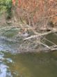 Donau 2018.JPG